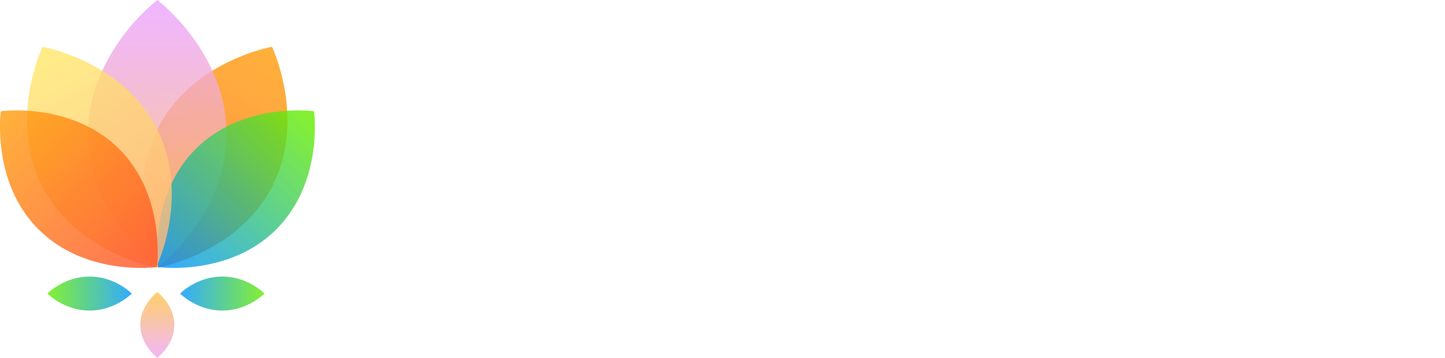 SV Capital